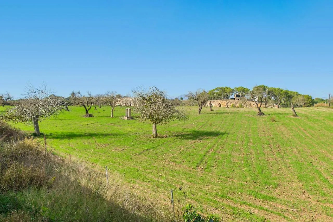 Finca Son Vado By Mallorca Villa Selection Santa Margalida Holiday home